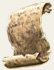 Scroll Smeared